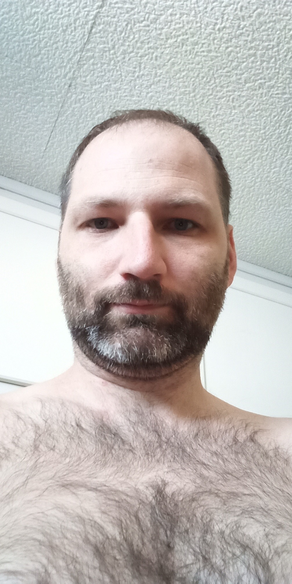Timéo, 37 ans, Bosmie-l'Aiguille
