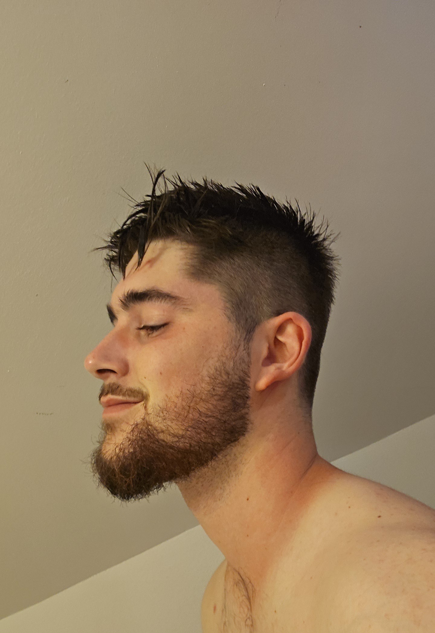 Célestin, 26 ans, Masléon